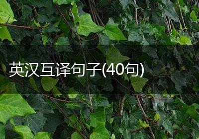 英汉互译句子(40句)