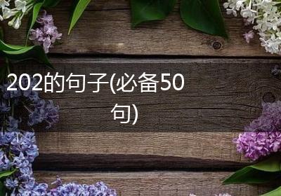 202的句子(必备50句)