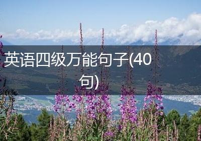 英语四级万能句子(40句)