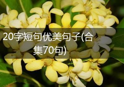 20字短句优美句子(合集70句)