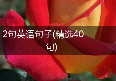 2句英语句子(精选40句)
