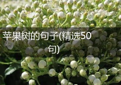 苹果树的句子(精选50句)