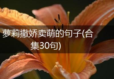 萝莉撒娇卖萌的句子(合集30句)