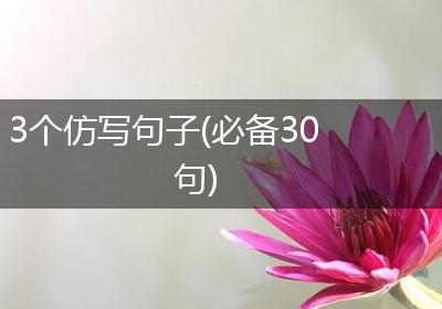 3个仿写句子(必备30句)