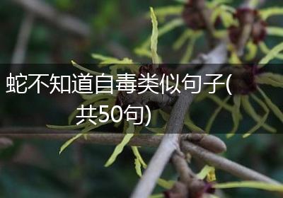 蛇不知道自毒类似句子(共50句)