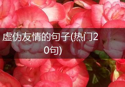 虚伪友情的句子(热门20句)