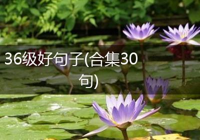 36级好句子(合集30句)