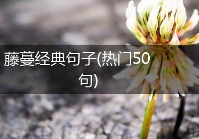 藤蔓经典句子(热门50句)