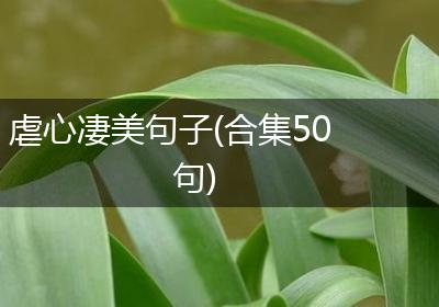 虐心凄美句子(合集50句)