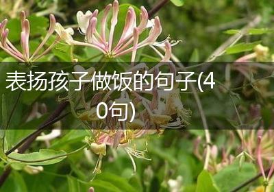表扬孩子做饭的句子(40句)