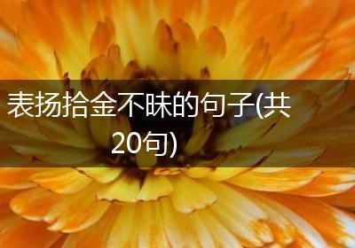 表扬拾金不昧的句子(共20句)