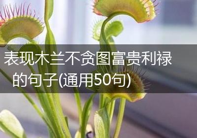 表现木兰不贪图富贵利禄的句子(通用50句)