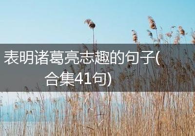 表明诸葛亮志趣的句子(合集41句)