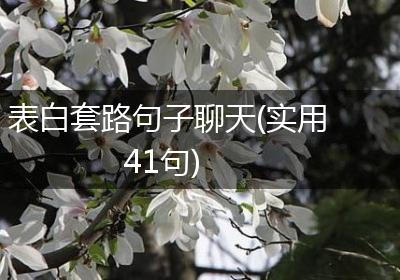 表白套路句子聊天(实用41句)