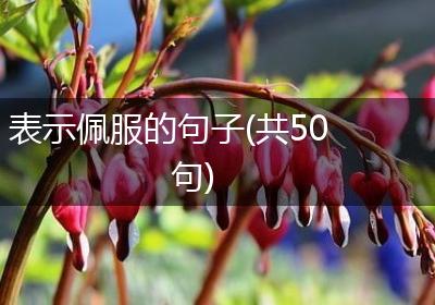 表示佩服的句子(共50句)