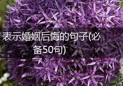 表示婚姻后悔的句子(必备50句)