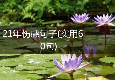 21年伤感句子(实用60句)