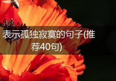 表示孤独寂寞的句子(推荐40句)