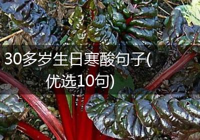 30多岁生日寒酸句子(优选10句)