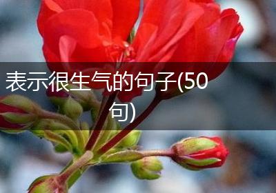 表示很生气的句子(50句)