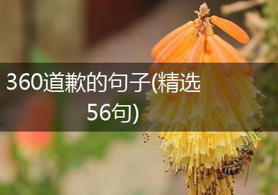 360道歉的句子(精选56句)