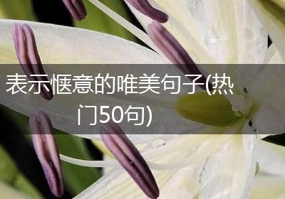 表示惬意的唯美句子(热门50句)
