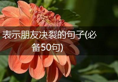 表示朋友决裂的句子(必备50句)
