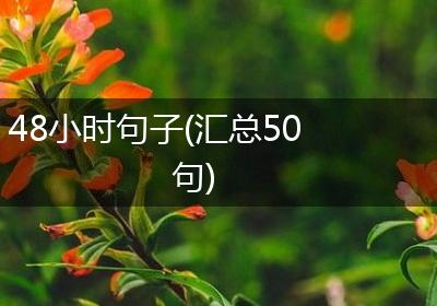 48小时句子(汇总50句)