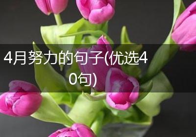 4月努力的句子(优选40句)