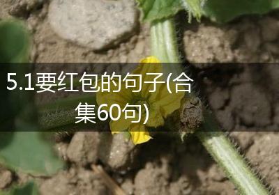 5.1要红包的句子(合集60句)