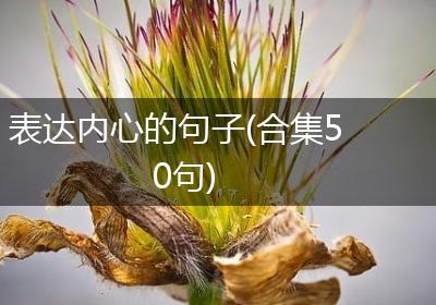 表达内心的句子(合集50句)