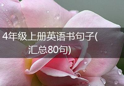 4年级上册英语书句子(汇总80句)