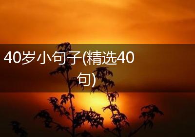40岁小句子(精选40句)