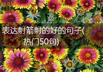 表达射箭射的好的句子(热门50句)