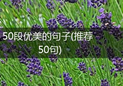 50段优美的句子(推荐50句)
