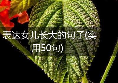 表达女儿长大的句子(实用50句)