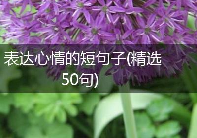 表达心情的短句子(精选50句)