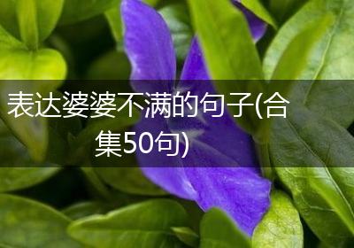 表达婆婆不满的句子(合集50句)
