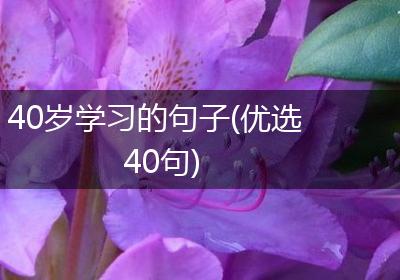 40岁学习的句子(优选40句)