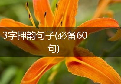 3字押韵句子(必备60句)