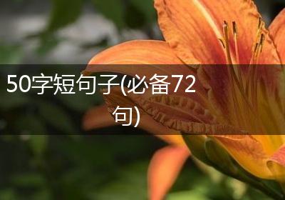 50字短句子(必备72句)