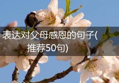 表达对父母感恩的句子(推荐50句)