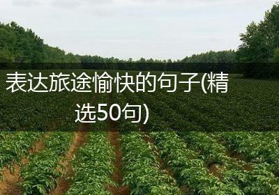 表达旅途愉快的句子(精选50句)