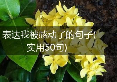 表达我被感动了的句子(实用50句)