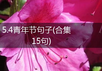 5.4青年节句子(合集15句)