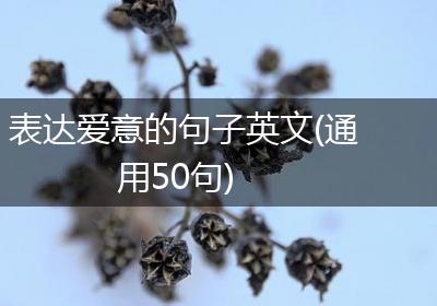 表达爱意的句子英文(通用50句)