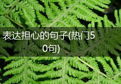 表达担心的句子(热门50句)
