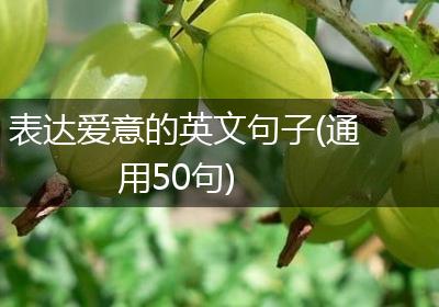 表达爱意的英文句子(通用50句)