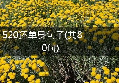 520还单身句子(共80句)