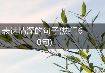 表达情深的句子(热门60句)